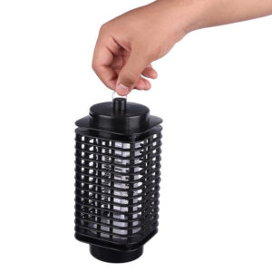 حشره کش